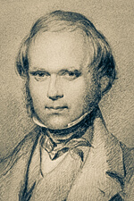 Darwin Manuscripts