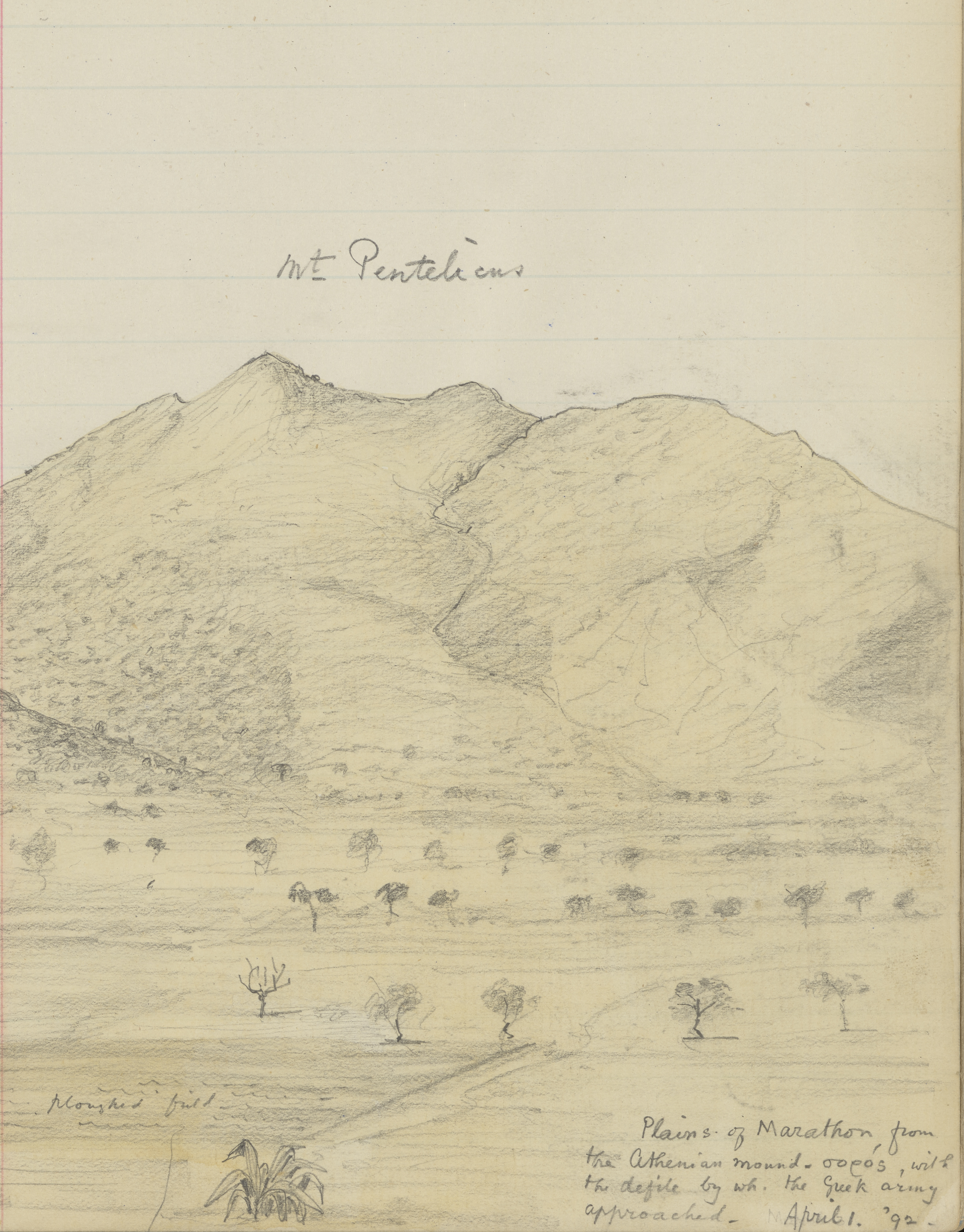 [Collection name or image description]