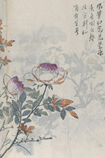Sally T. WongAvery Digital Collection of Chinese Materials